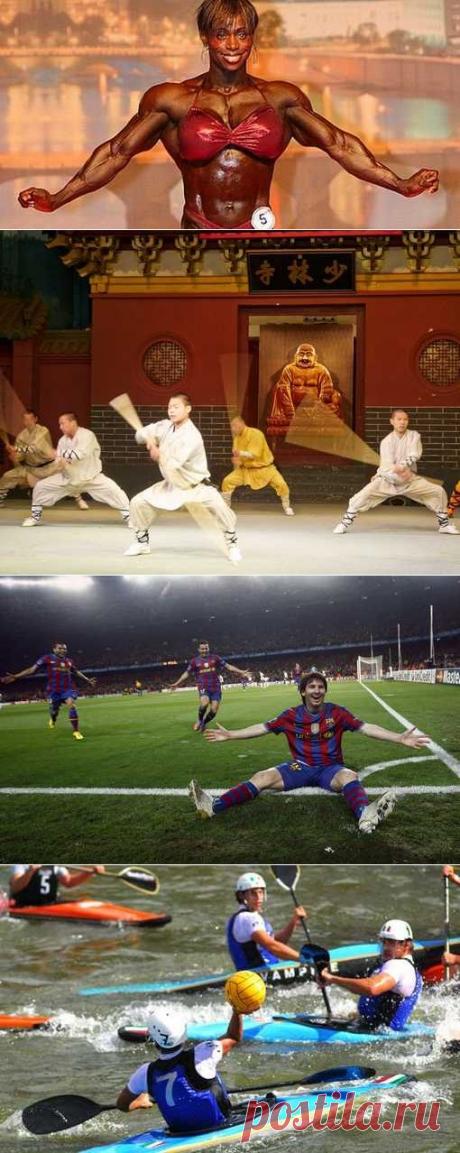 Воздухоплавание, Дуатлон, Метание лески, Голбол. (1/1) - Спортивный форум. - Спортивный сайт