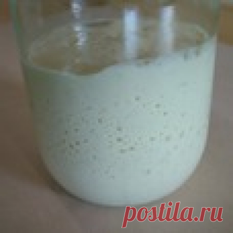 Закваска по Раймонду Калвелю за 2 суток Кулинарный рецепт