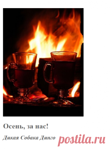 Осень, за нас! (Дикая Собака Динго) / Стихи.ру