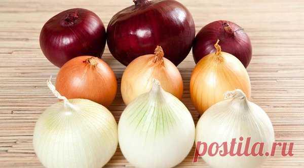 Чем опрыскать смородину от клеща весной. Уникальные народные средства! | Дачные секреты от Виктории Радзевской | Яндекс Дзен