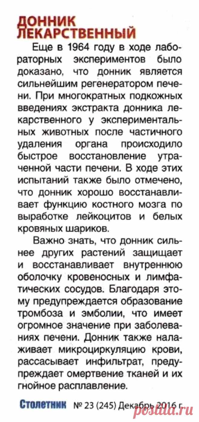 Донник лекарственный