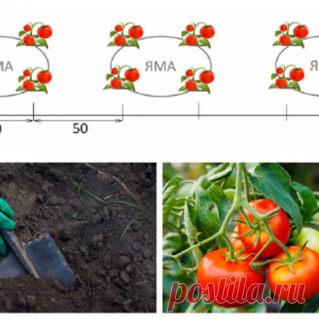 6 красивых способов дополнить образ с помощью шарфика. На заметку - МирТесен