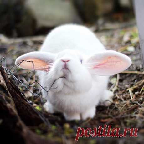 Photo by Lori T. Dean 🐰 on July 27, 2020. На изображении может находиться: на улице.