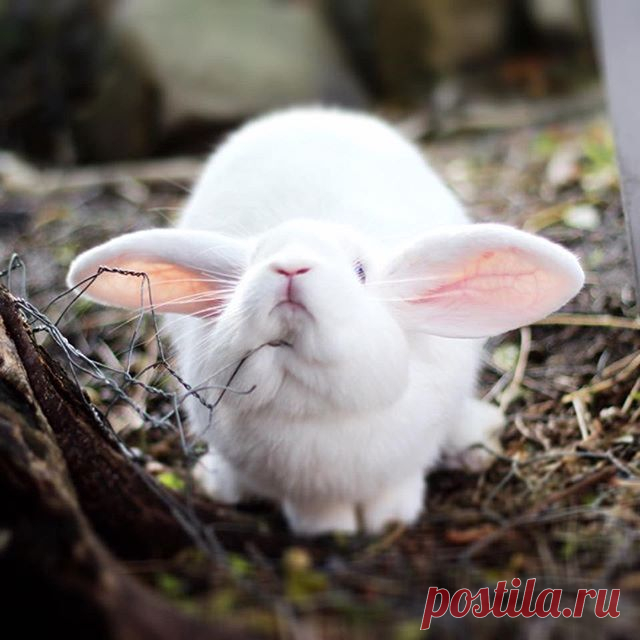Photo by Lori T. Dean 🐰 on July 27, 2020. На изображении может находиться: на улице.