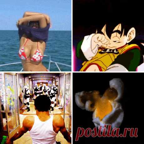 Смешные Гифки