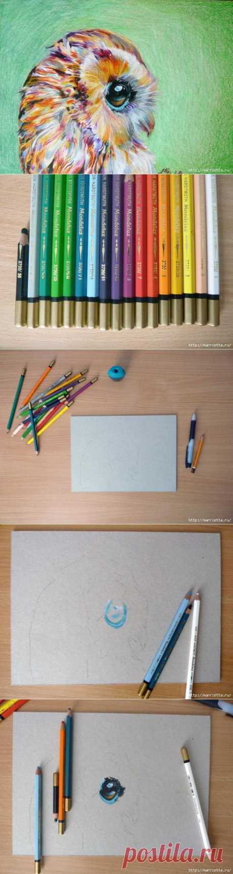 Как нарисовать сову акварельными карандашами - How to draw an owl watercolor pencils