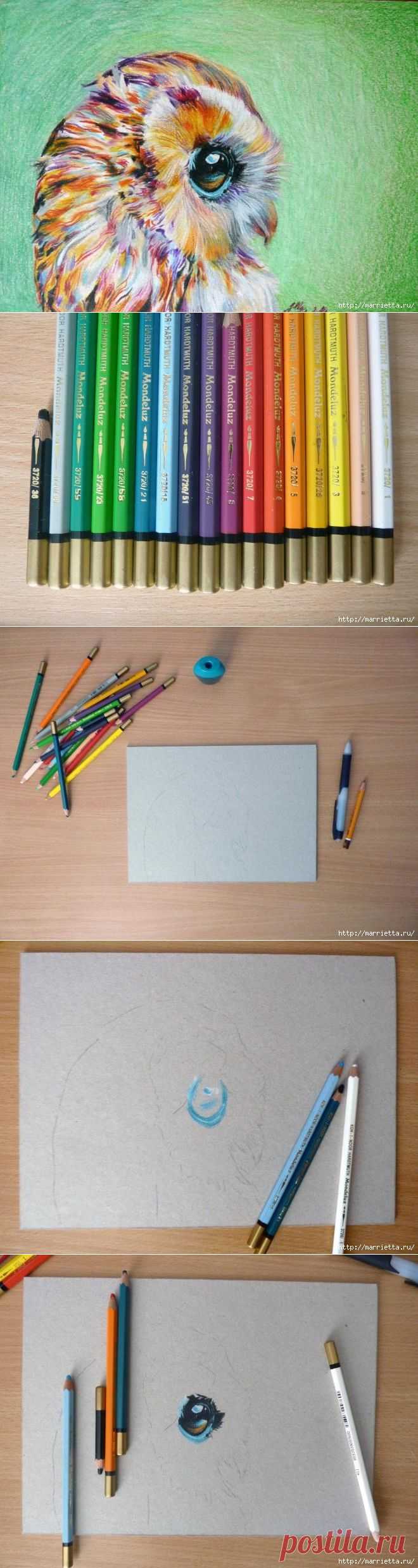 Как нарисовать сову акварельными карандашами - How to draw an owl watercolor pencils