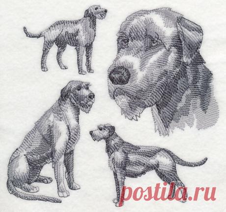 Machine Embroidery Designs at Embroidery Library! - Embroidery Library