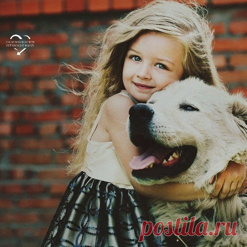 Фотографии на стене сообщества | 32 779 фотографий
