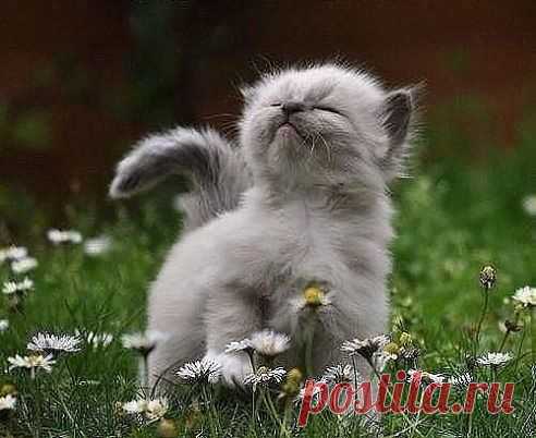 Мой Мир@Mail.Ru