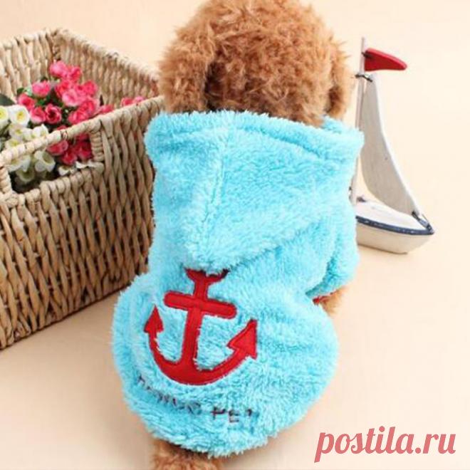 Idepet флис Puppy Одежда для собак Симпатичные пальто с капюшоном свитер костюмы одежды для маленьких собак домашних животных одежда Чихуахуа XS XL 19S2Q купить на AliExpress