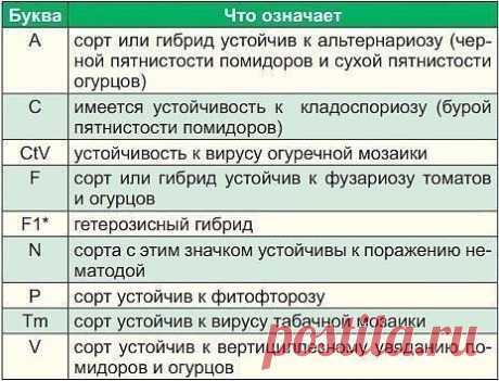 Что написано на пакетиках с семенами? | 6 соток