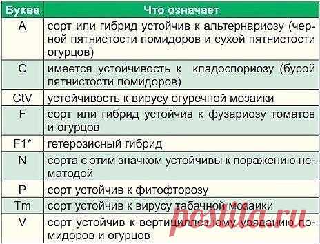 Что написано на пакетиках с семенами? | 6 соток