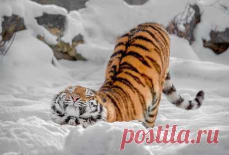 Мой Мир@Mail.Ru