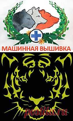 Тигр
