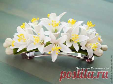 Цветы апельсина