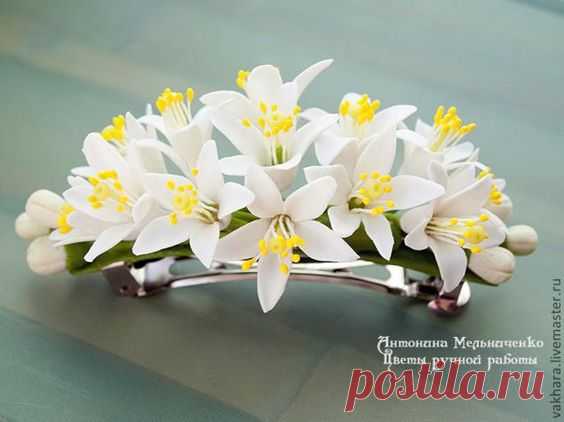 Цветы апельсина
