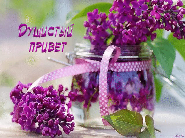Фото – Google+