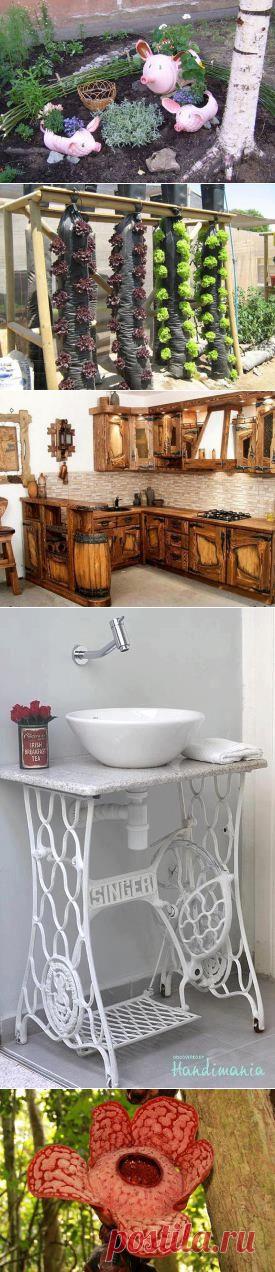 НЕОБЫЧНЫЕ ИДЕИ ДЕКОРА | Самоцветик