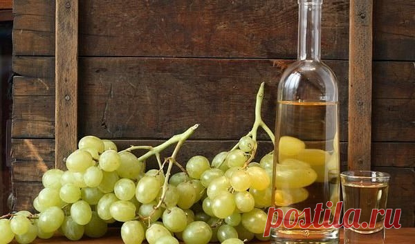 Как сделать самогон в домашних условиях. Инструкция для начинающего винокура