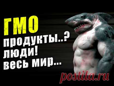 Так ГМО вредно или нет? Что оно вообще такое?
