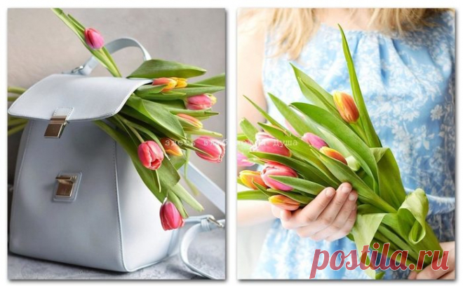 Территория моей Души...