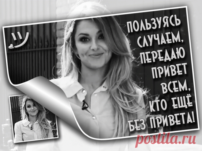«=» — карточка пользователя 🍒 Вęŕŕγ Wolf 🍒 в Яндекс.Коллекциях