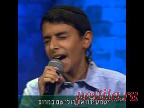 עוזיה צדוק-נגן נגנה|צל עץ תמר