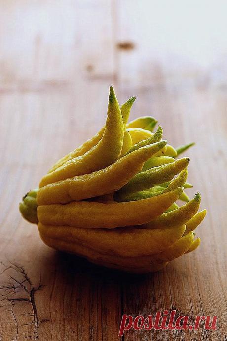 Экзотический плод Рука Будды (Цитрон)