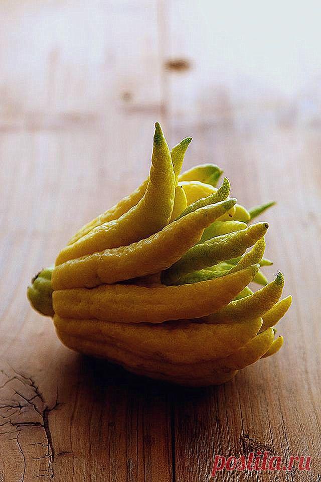 Экзотический плод Рука Будды (Цитрон)