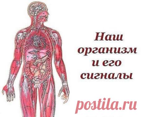 (59) Одноклассники