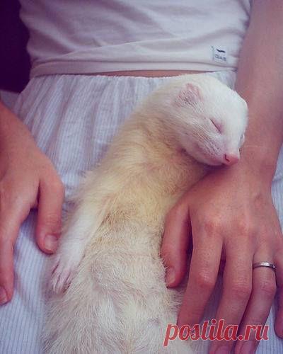 (14) Mister Finch - Timeline Photos