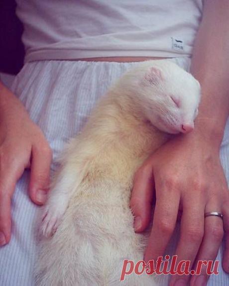 (14) Mister Finch - Timeline Photos