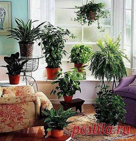116046501_large_1206_0_s.jpg (463×480)