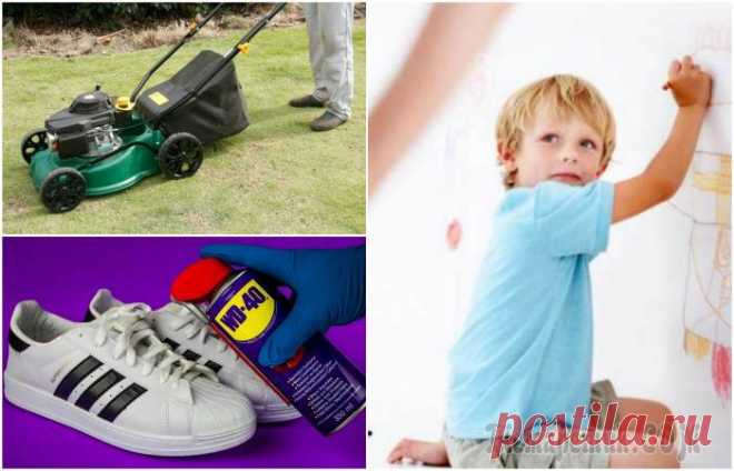 17 бытовых ситуаций, которые доказывают, что WD-40 способен заменить добрую половину бытовой химии 17 бытовых ситуаций, которые доказывают, что WD-40 способен заменить добрую половину бытовой химии
Практически ежедневно с каждым из нас случаются мелкие бытовые неприятности.
Они доставляют хлопоты и...
