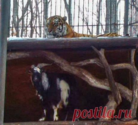 Приморье today