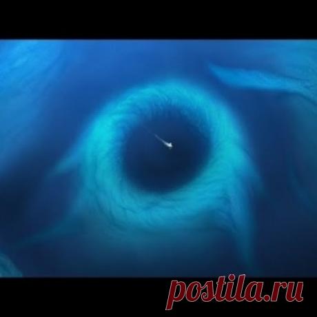 Кто живет на дне Марианской впадины? Захватывающие кадры о её тайнах - МирТесен