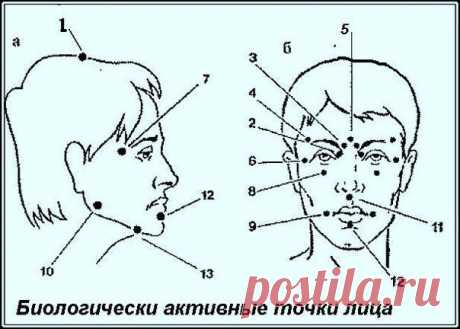 ЗОЖ - народная медицина, рецепты, травы