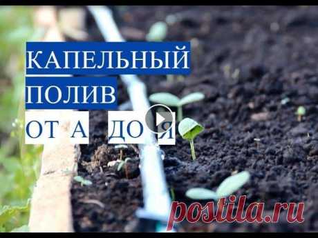 Капельный Полив от А до Я. Чтобы Огород Был В Радость! Все для капельного полива здесь: 15 % СКИДКА тем, кто скажет волшебную фразу &quot;Во Саду ли в Огороде&quot;. Канал МиниФермер: Группа ВК с новостями...
