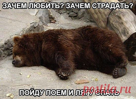 Одноклассники