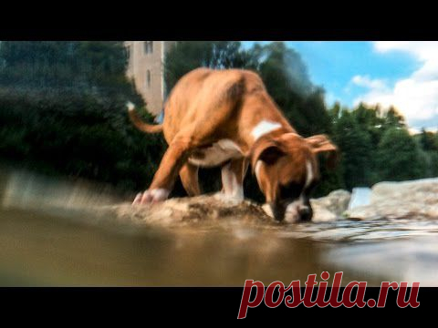 7 трюков с камерой смартфона