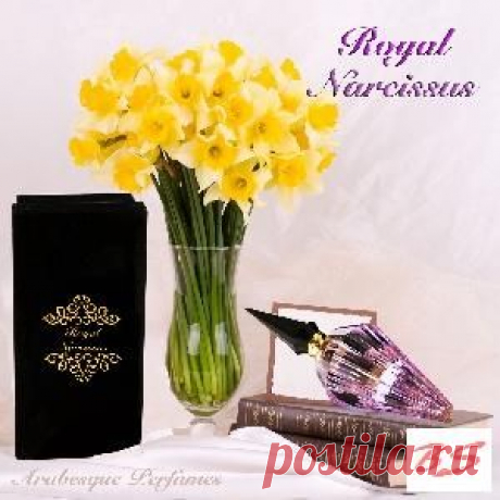 Купить арабские масляные духи ROYAL NARCISSUS от Arabesque Perfumes
