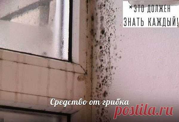 Средство от грибка