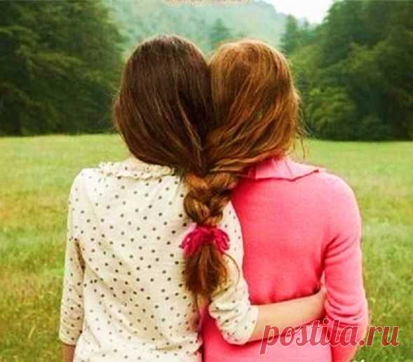 Мои закладки