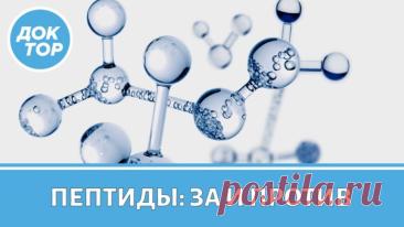 Пептидные биорегуляторы: как короткие молекулы управляют долголетием и здоровьем https://kliponet.ru/novosti/peptidnye_bioreguljatory_kak_korotkie_molekuly_upravljajut_dolgoletiem_i_zdorovem/2026-09-19-5197