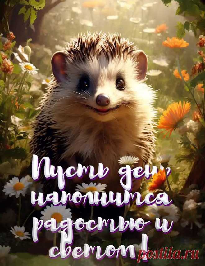 Позитивная картинка добрый день с пожеланием