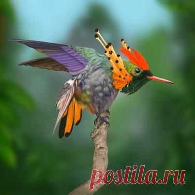 хх