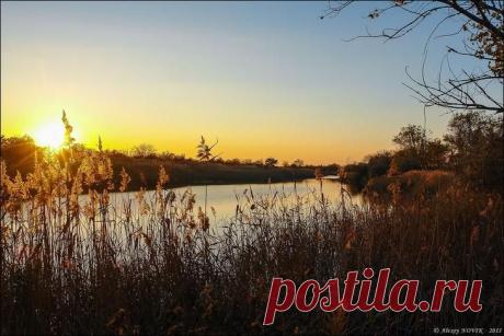 Фотопрогулки. В старом парке