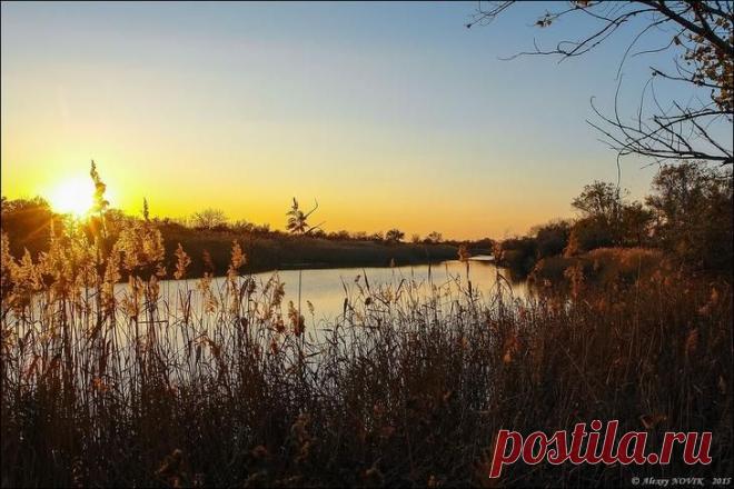 Фотопрогулки. В старом парке