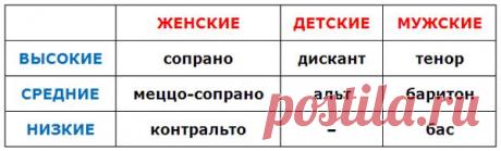 Мужские и женские певческие голоса | Музыкальный класс